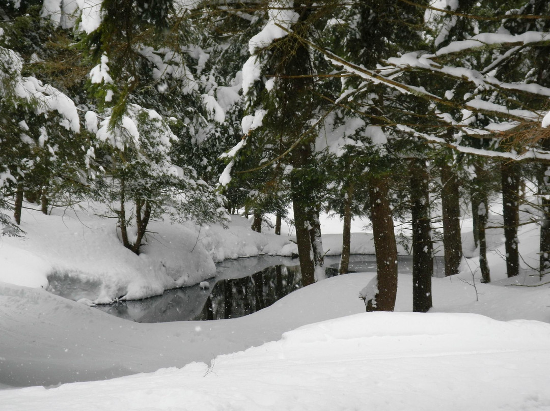 Osceola Tug Hill Ski Center-Camden必去景点