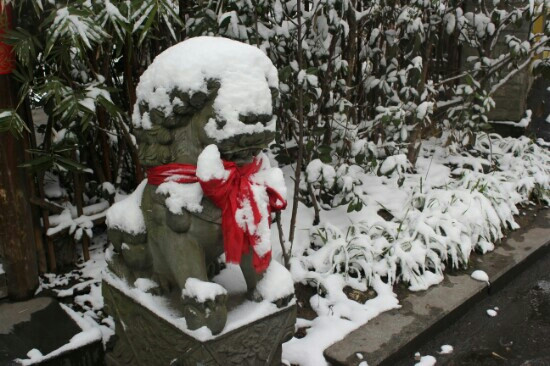 杭州过客青年旅馆主图