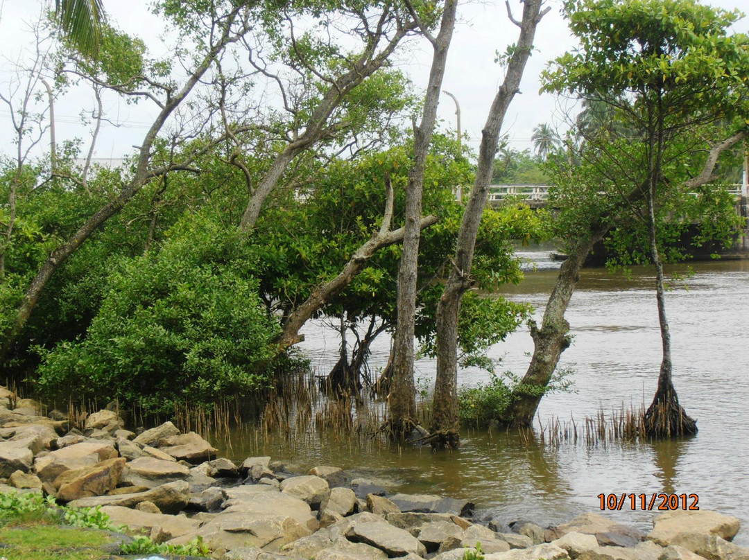 Elite Tours Sri Lanka-Pitiwella必去景点