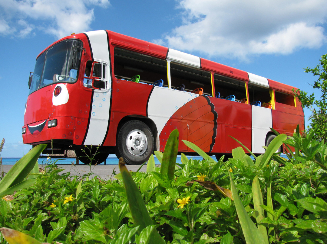 Chac Choc Tours-考祖梅必去景点