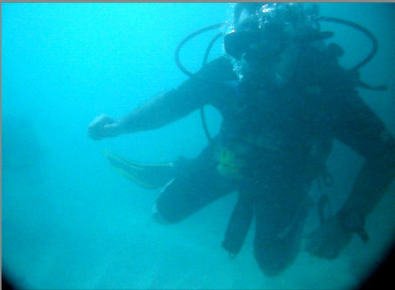 The Dive Academy景点图片