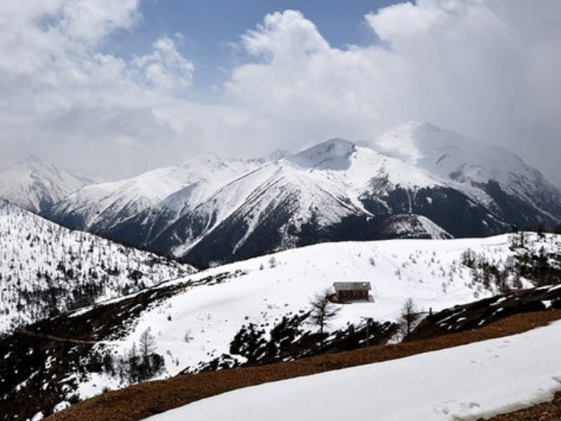 白马雪山国家级自然保护区景点图片