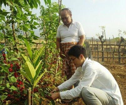 Pringgabaya旅游攻略图片