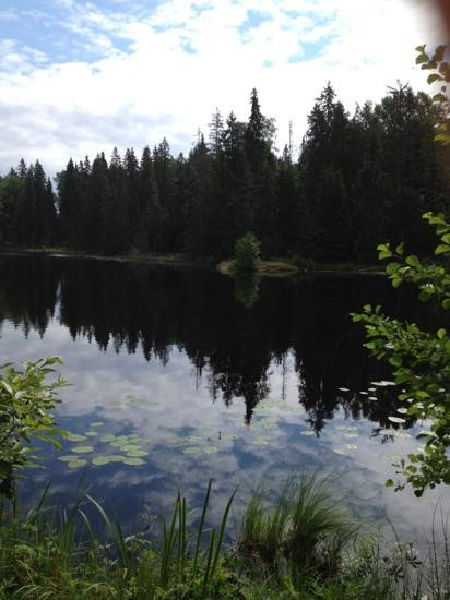 Valaam Monastery景点图片