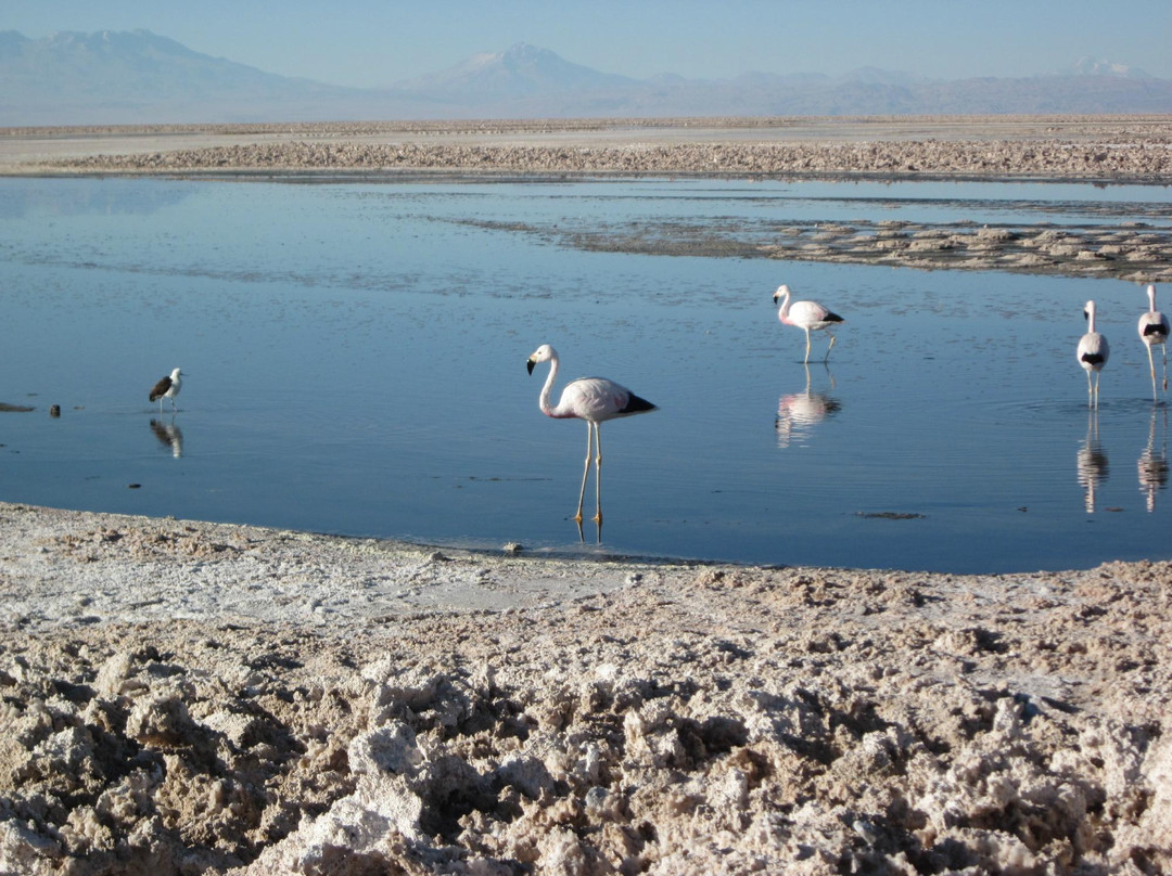 米斯坎蒂山及米尼克斯山-圣佩德罗-德阿塔卡马必去景点