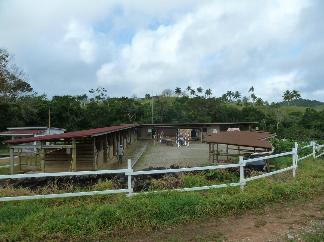 Epona Ranch-拉斯特拉纳斯必去景点