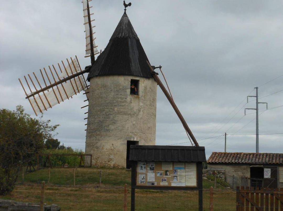 Moulin de Vensac景点图片