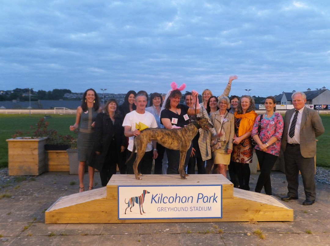 Kilcohan Park Greyhound Stadium-沃特福德必去景点