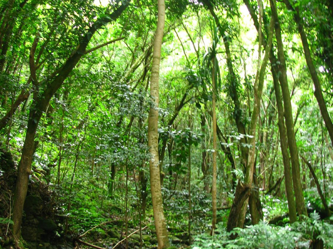 Duke's Kayak Adventures-Wailua必去景点
