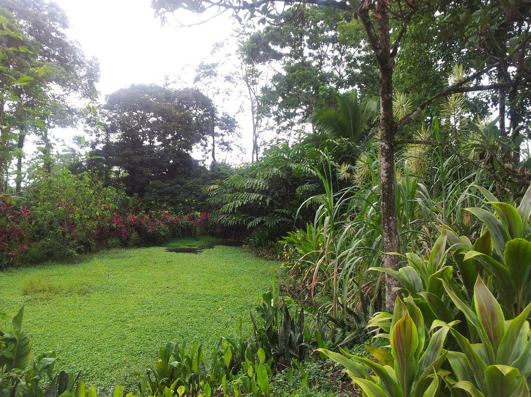 MiniZoo y Jardín Yori景点图片