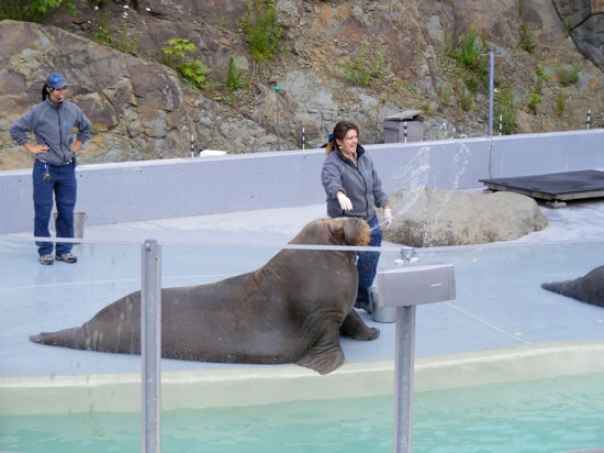 Aquarium du Québec-魁北克市必去景点