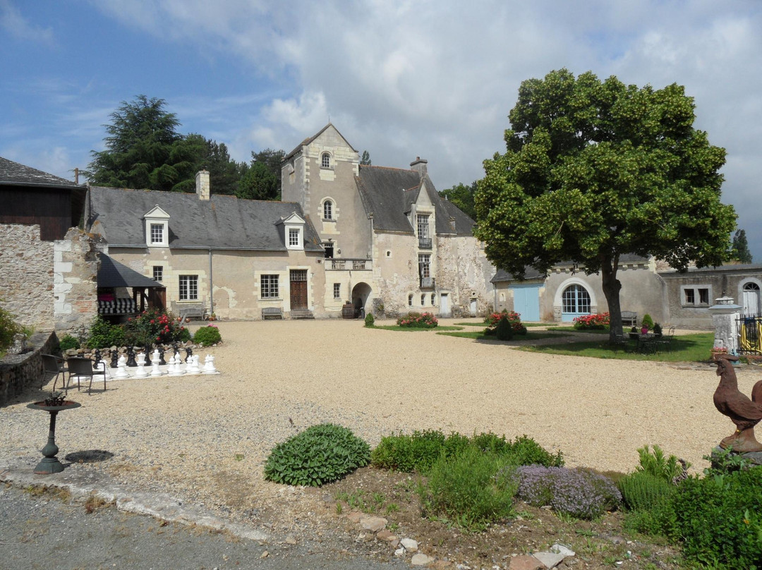 Chateau de Cheman主图