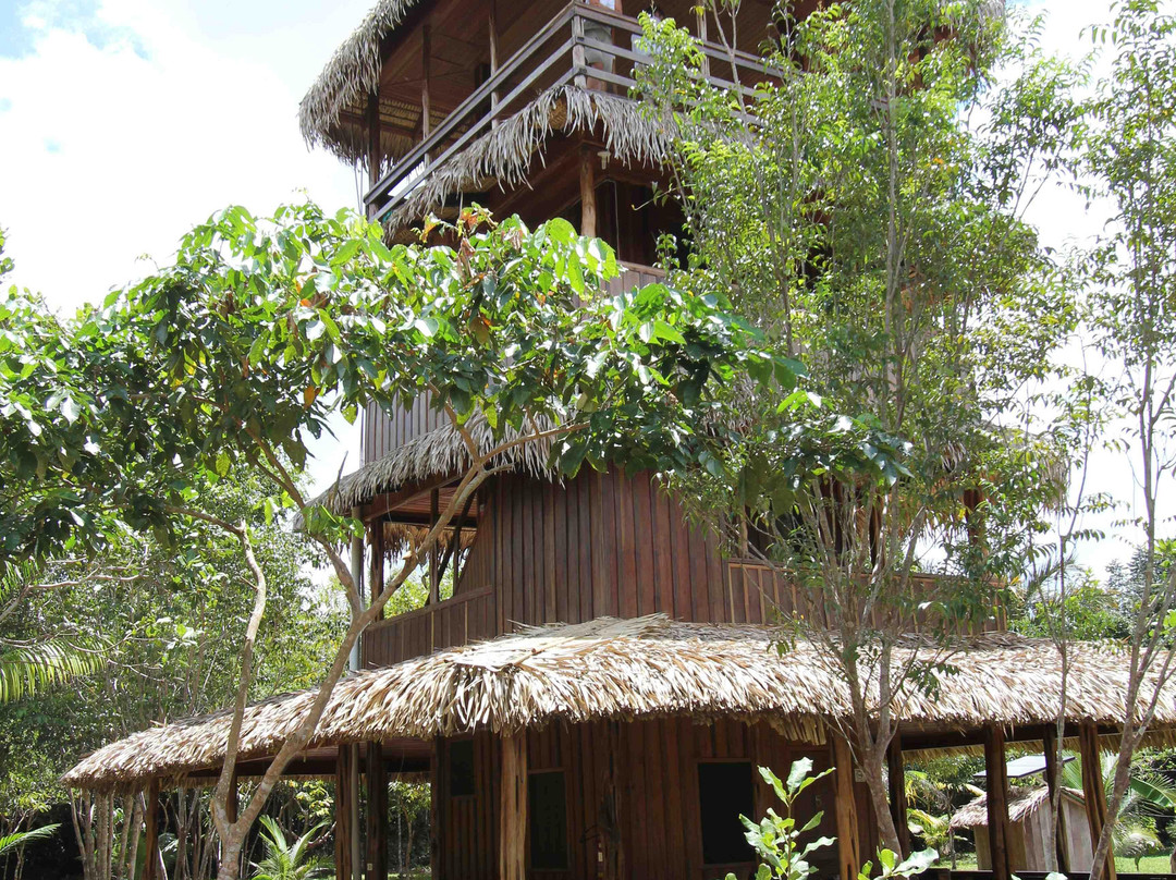 Amazon Antonio Jungle Tours-玛瑙斯必去景点