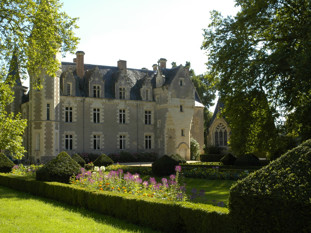 Chateau de Montriou主图