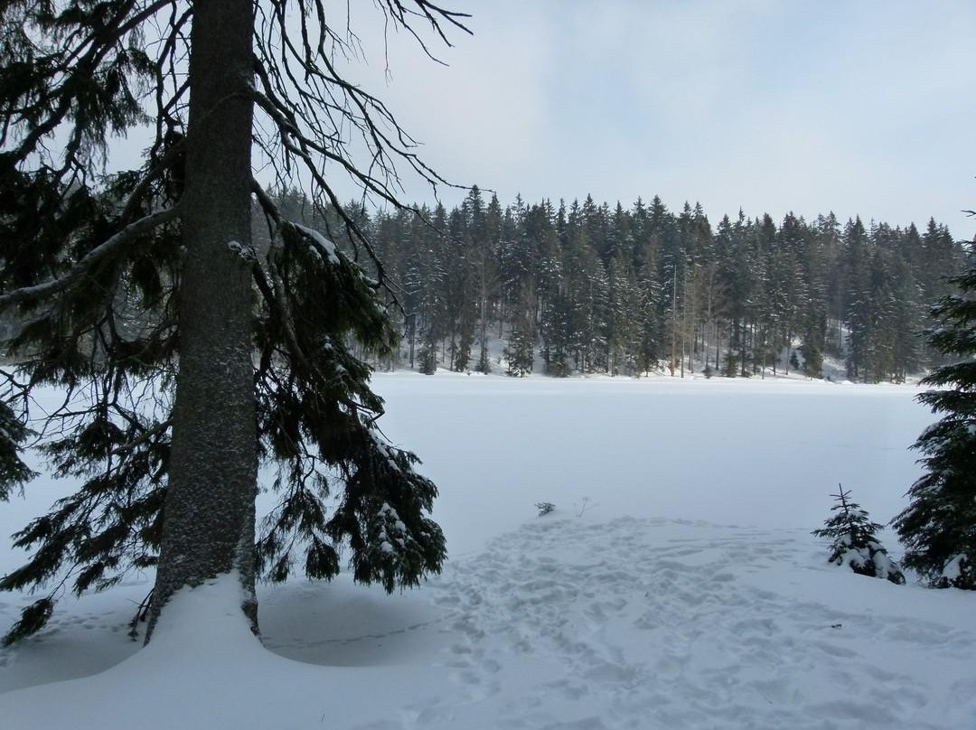 Arbersee-Bayerisch Eisenstein必去景点