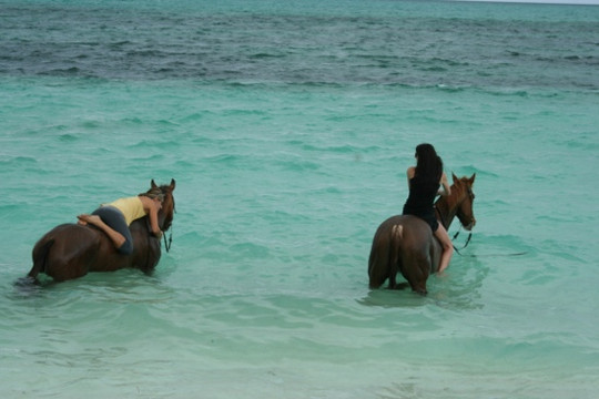 Caicos Coral-普罗维登西亚莱斯必去景点
