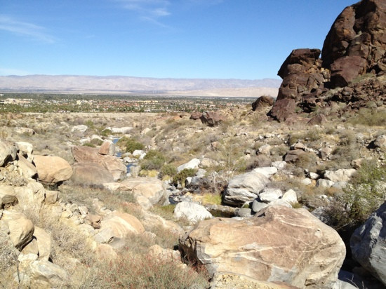 The Living Desert Zoo and Gardens-棕榈沙漠必去景点
