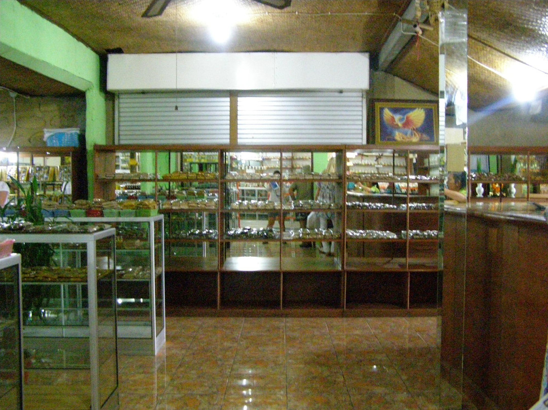 Buana Amertha Sari (BAS)-邦利必去景点