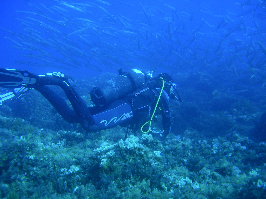 Marettimo Diving Center景点图片