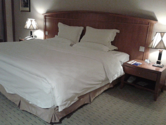 东营蓝海新悦大饭店主图