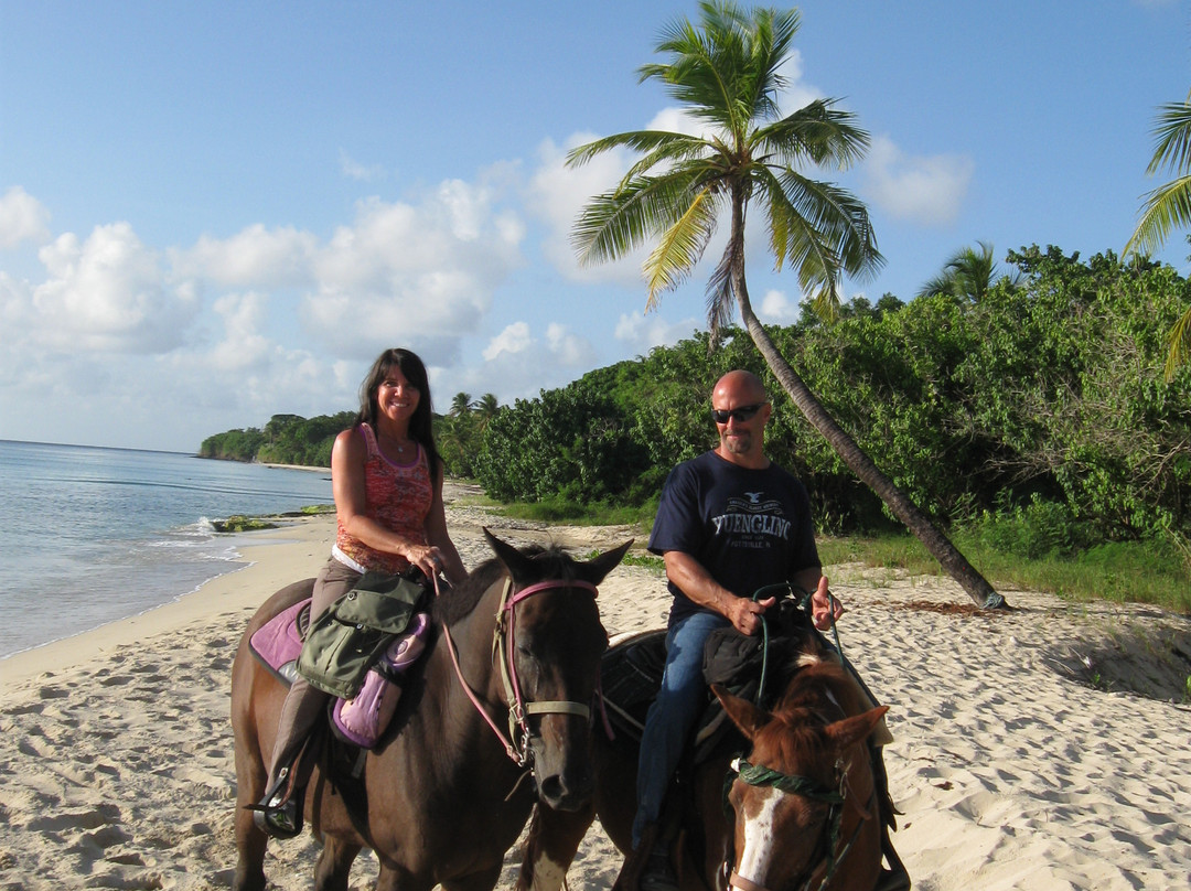 Paul and Jill's Equestrian Stables-圣克鲁斯必去景点