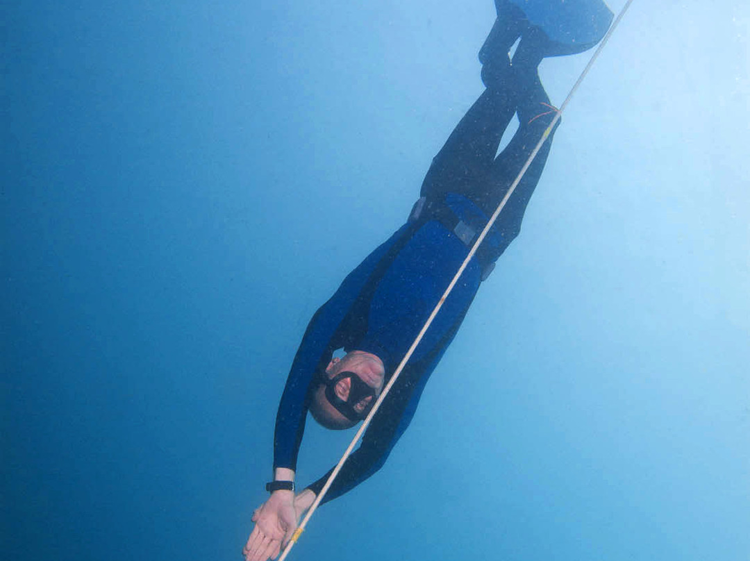 Freediving Philippines-莫阿尔博阿尔必去景点