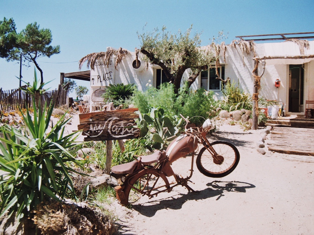 In Casa Calvi 