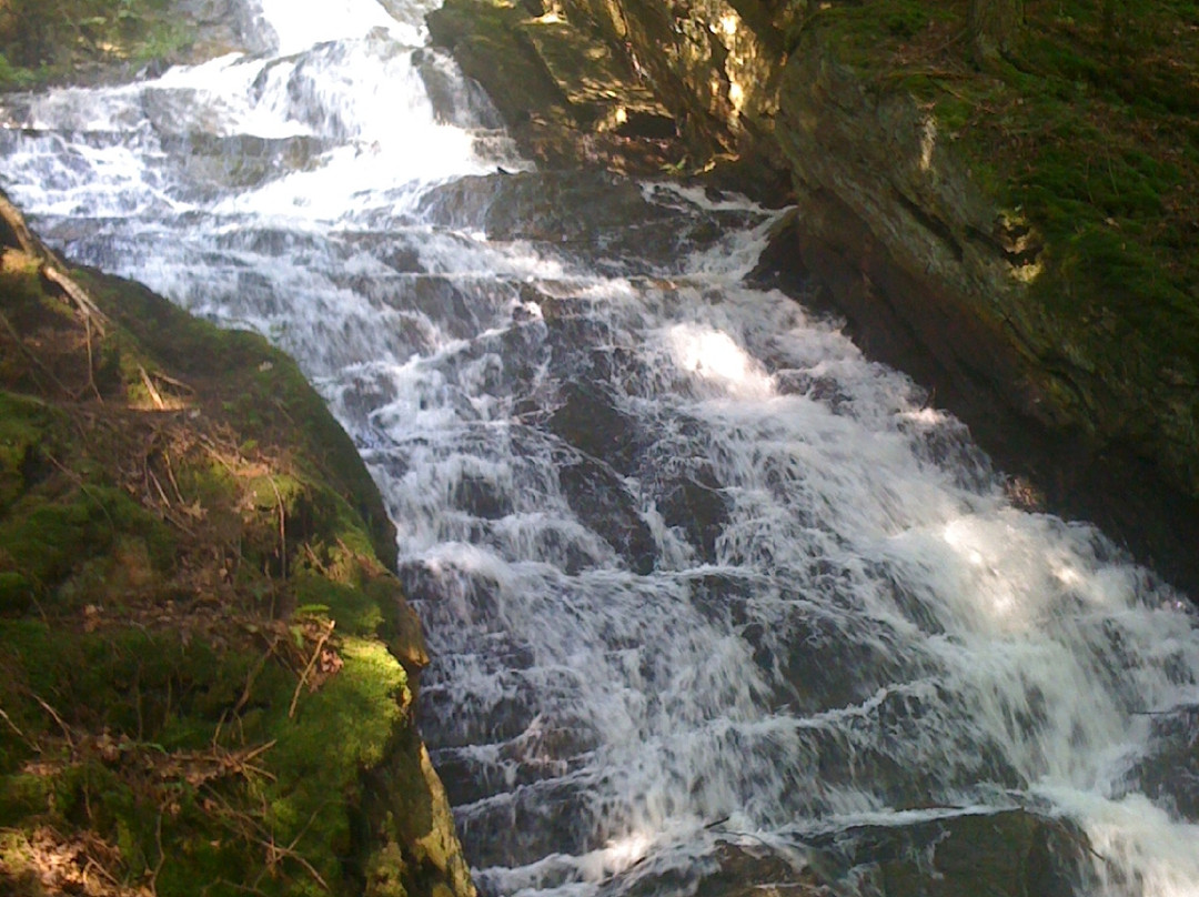 Thundering Brook Falls Trail-基灵顿必去景点