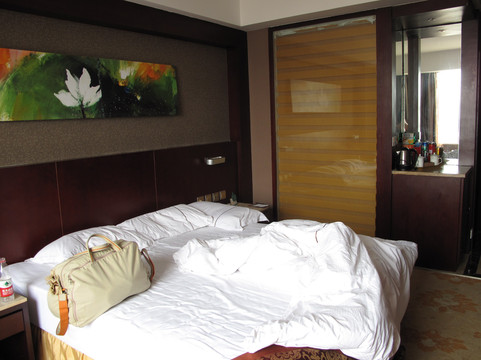 君临大酒店主图