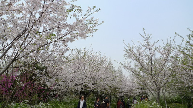 闵行体育公园-上海市必去景点