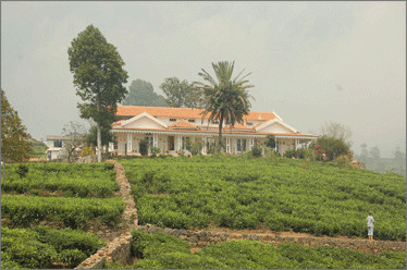 La Maison