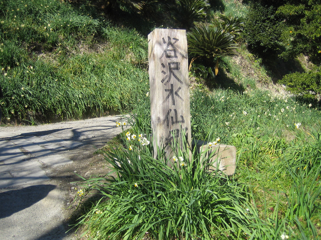 Yatsuzawa Suisenkyo景点图片