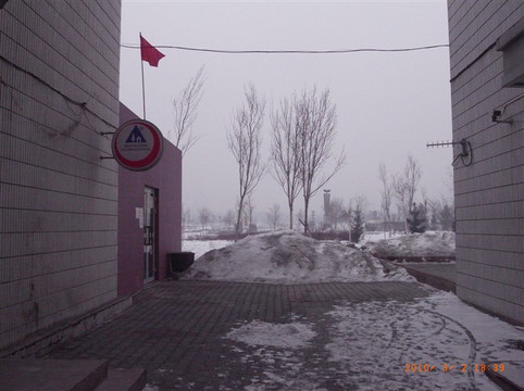 白桦林国际青年旅舍主图