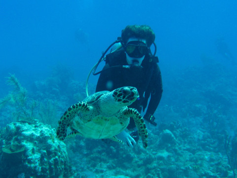 Indigo Divers-七哩滩必去景点