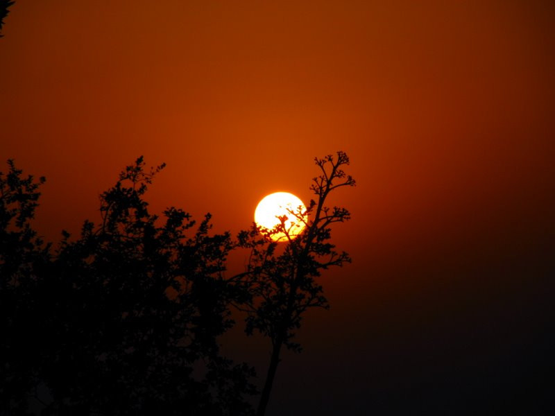 Sunset Point Mount Abu景点图片