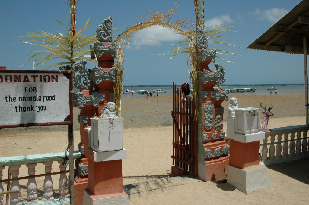 Deluang Sari Turtle Conservation Center-南湾必去景点