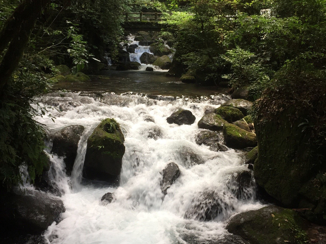 Shiraito Waterfall Visitor Center Shibuki景点图片