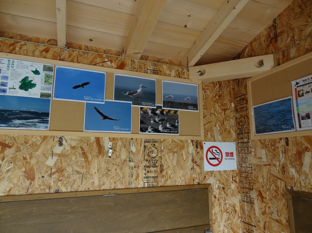 Hanasaki Cape-根室市必去景点