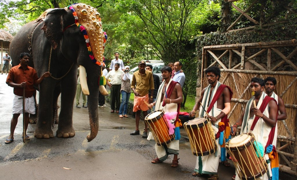 Bodhi Tree-柯钦必去景点