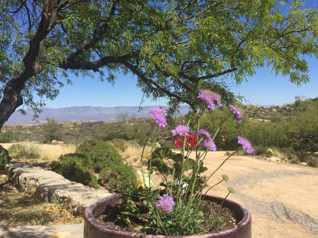Historic C.o.d. Ranch