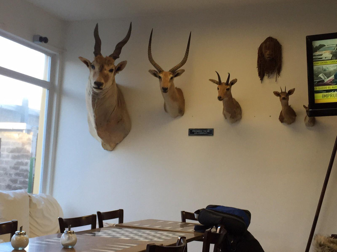 Eduardo Castex酒店住宿-Apart hotel Alejandria