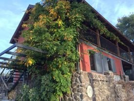 The Pinecone Ranch主图