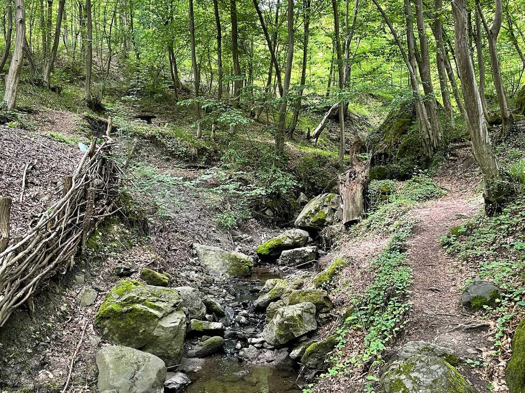 Giant Stone Sphere景点图片