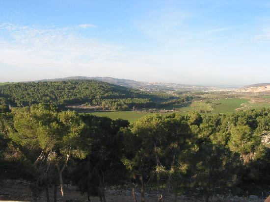 Lavi旅游攻略图片