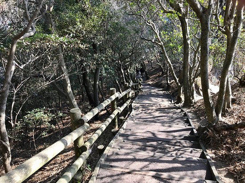 Tomboro of Sanshirojima-西伊豆町必去景点