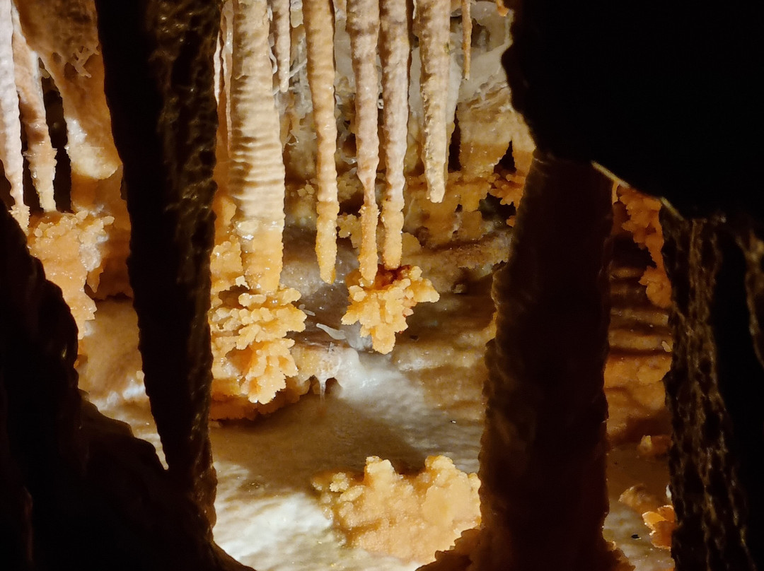 Ngilgi Cave Ancient Lands Experience景点图片
