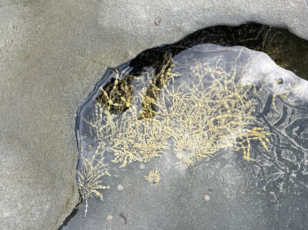 阿波罗湾宾馆主图