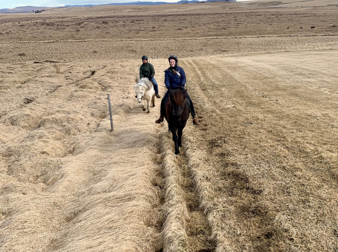 Icelandic HorseWorld-海拉必去景点