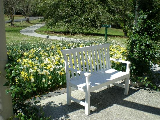 Airlie Gardens景点图片