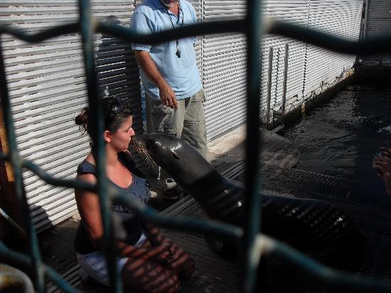 Puerto Castillo-Caleta de Fuste必去景点